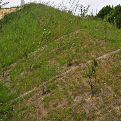 Erosionsschutzmatten