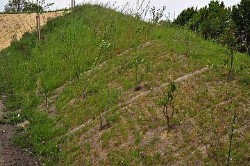 Erosionsschutzmatten
