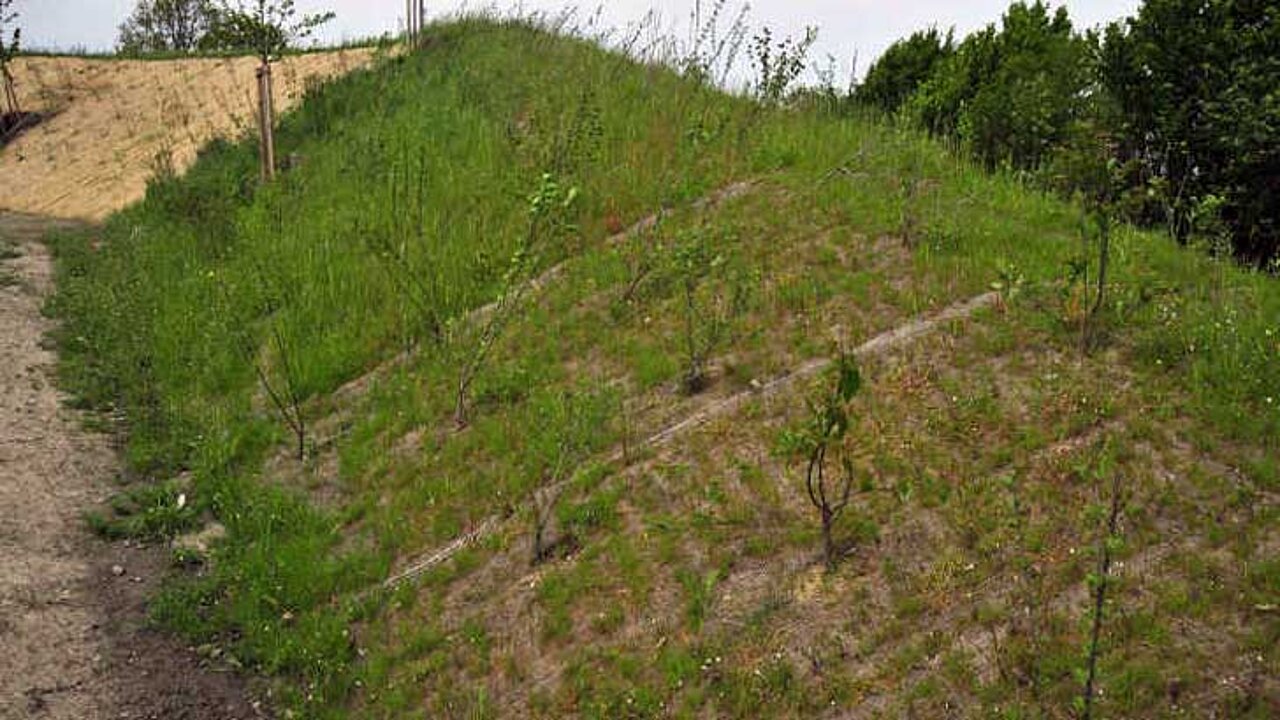 Erosionsschutzmatten