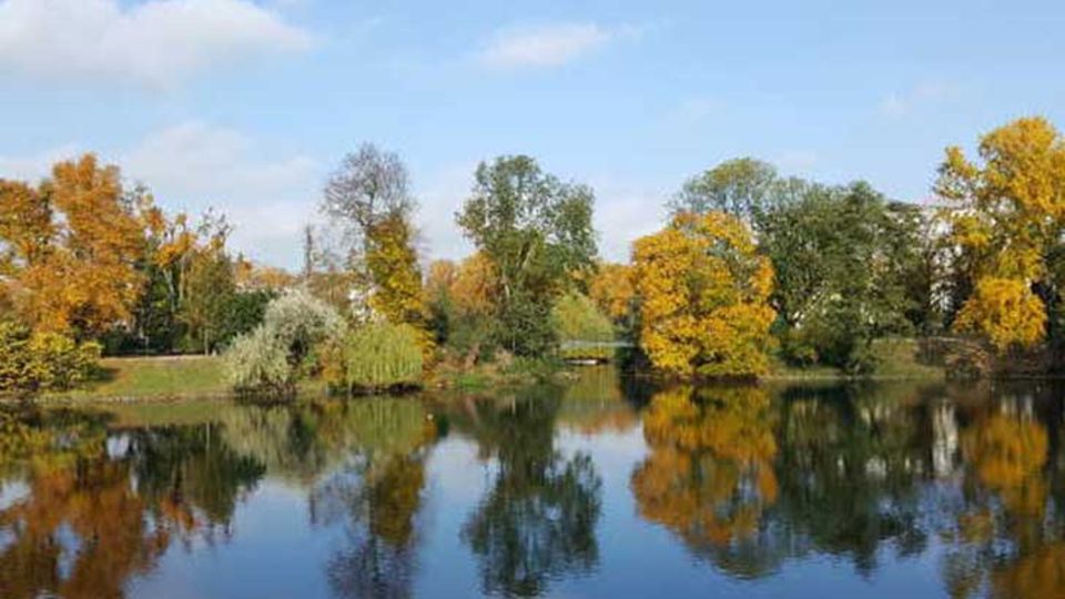 Laubgehölze