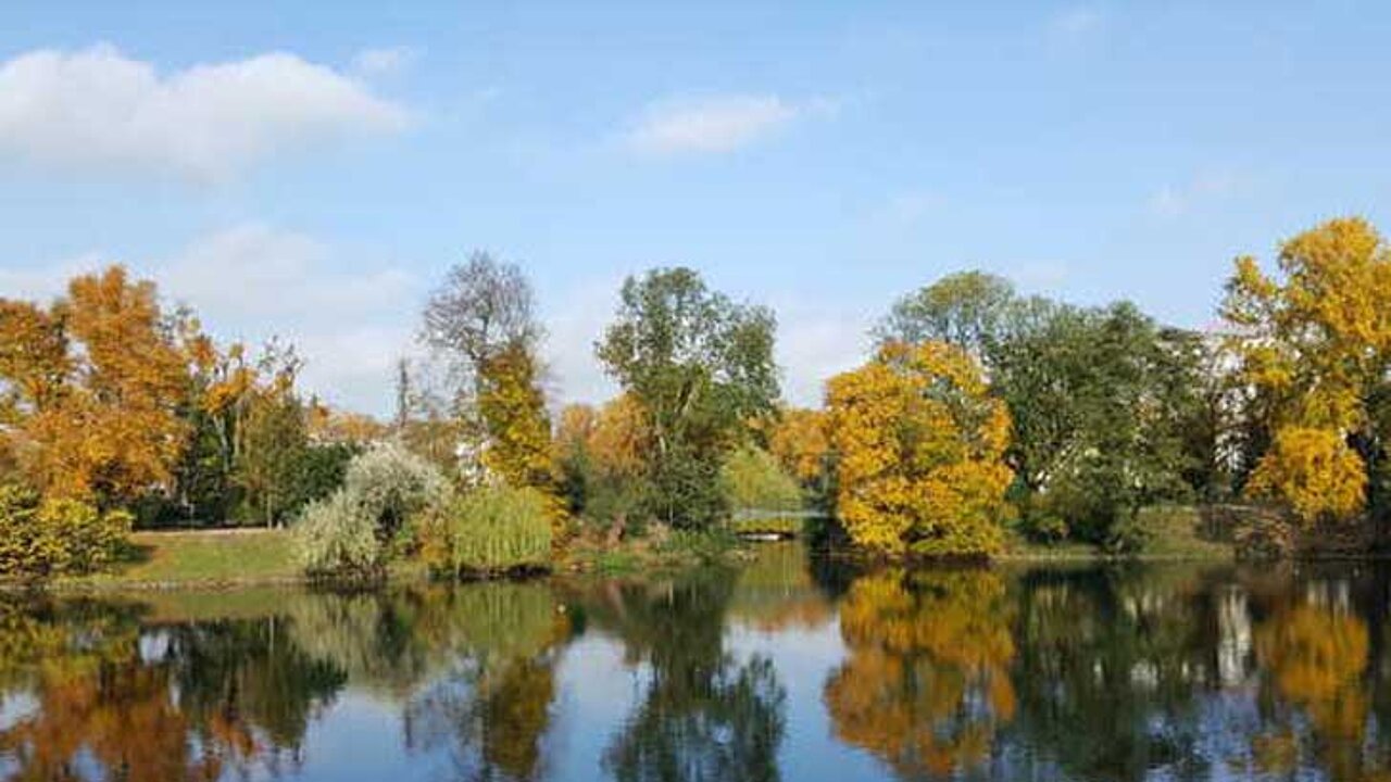 Laubgehölze