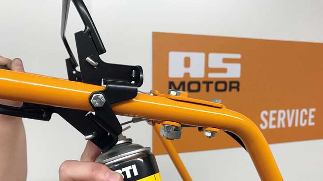 as-motor-frühlingscheck