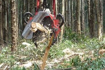 Harvesterfällkopf
