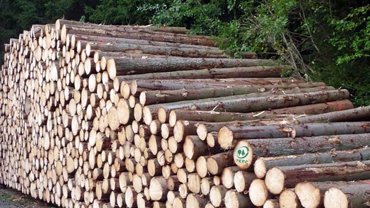 Holzstapel