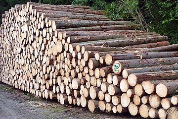 Holzstapel