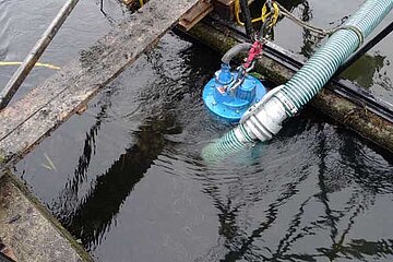 Tauchmotorpumpe