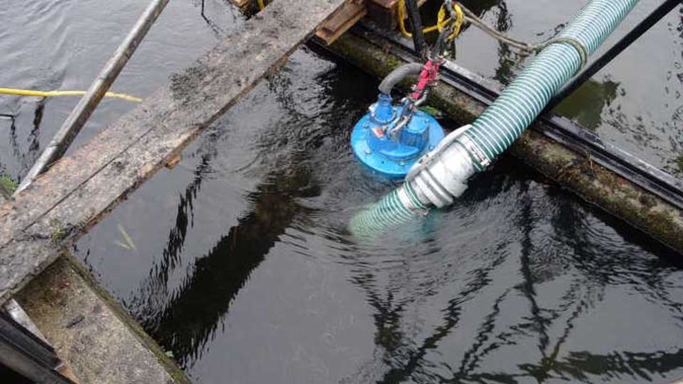Tauchmotorpumpe
