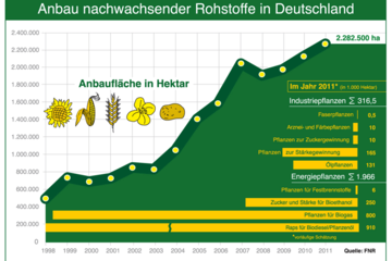 Entwicklung Anbauflächen