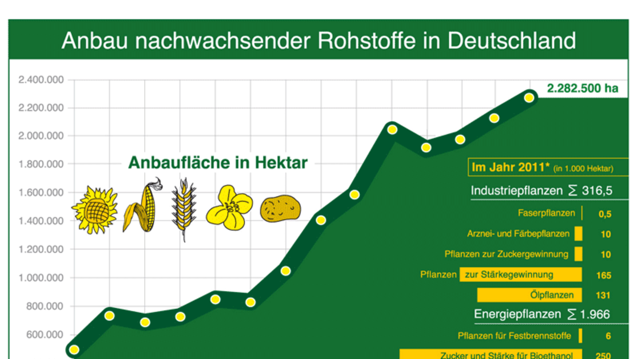 Entwicklung Anbauflächen