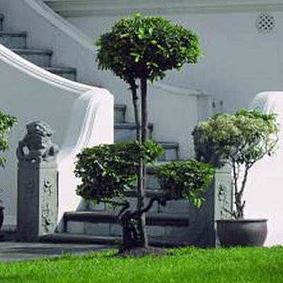Botament-systembaustoffe