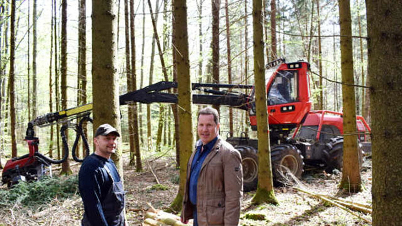 Holzvollerntemaschinen