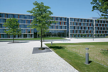 Baumscheiben Level 2