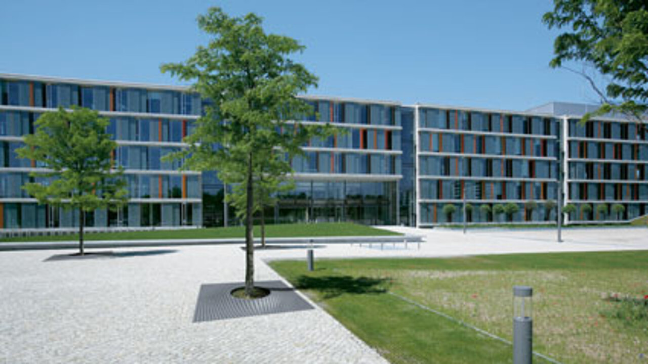 Baumscheiben Level 2