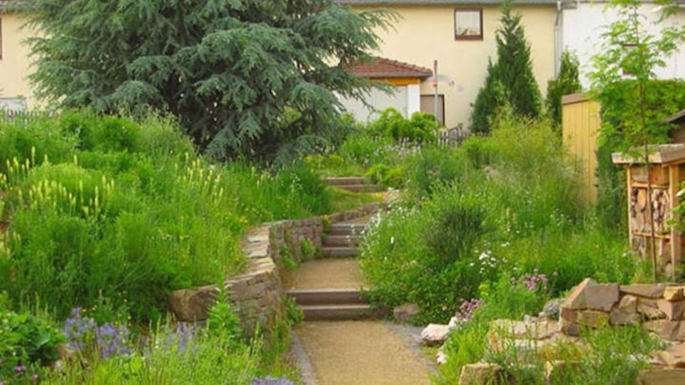 Schaugarten