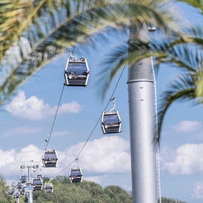 Seilbahn mit Palmen