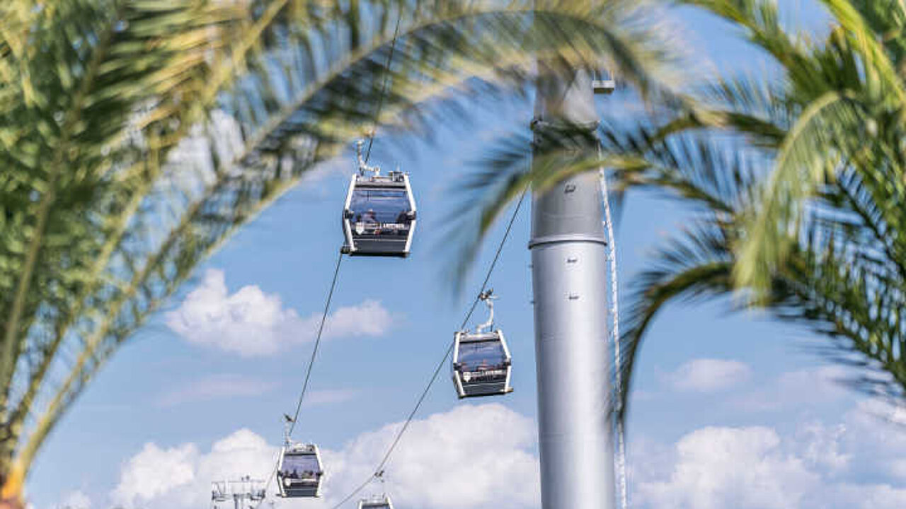Seilbahn mit Palmen