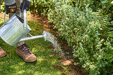 STIHL Garten-Barometer 2026