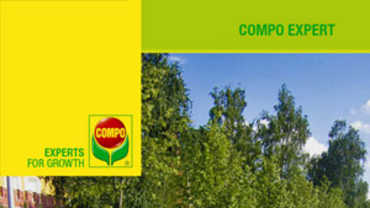 Compo-Ratgeber