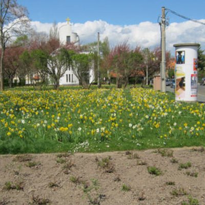 Bestandsflächen