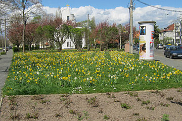 Bestandsflächen
