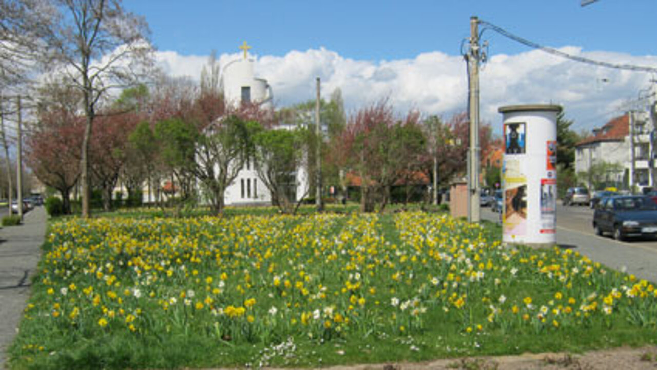 Bestandsflächen