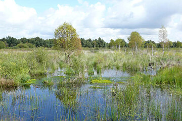 Image-15556