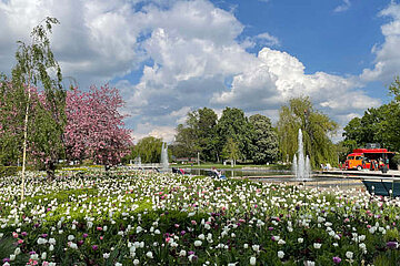 Image-13001