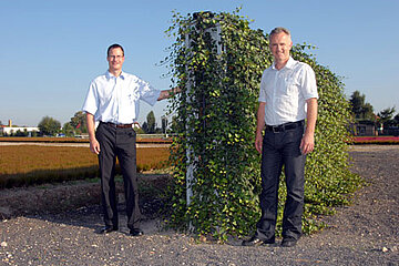 Stahl und Grün Stahl und Grün