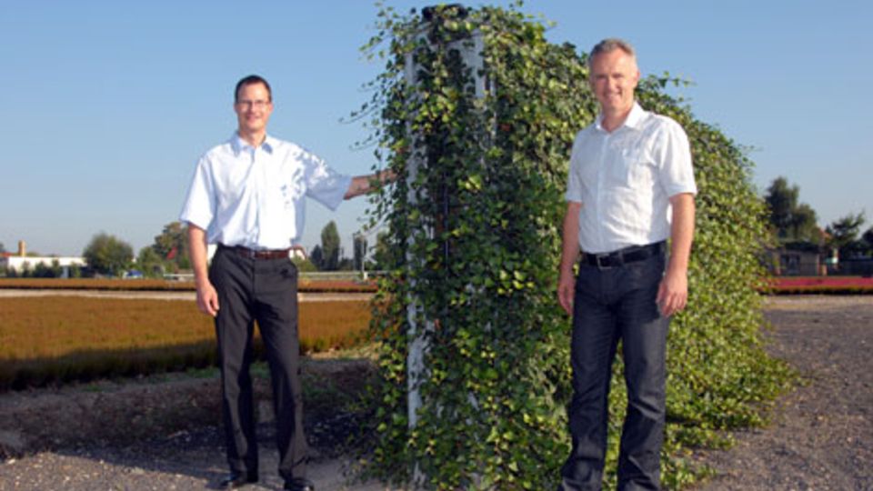 Stahl und Grün