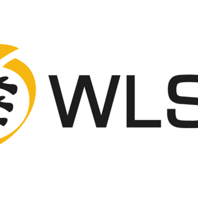 WSLB Logo