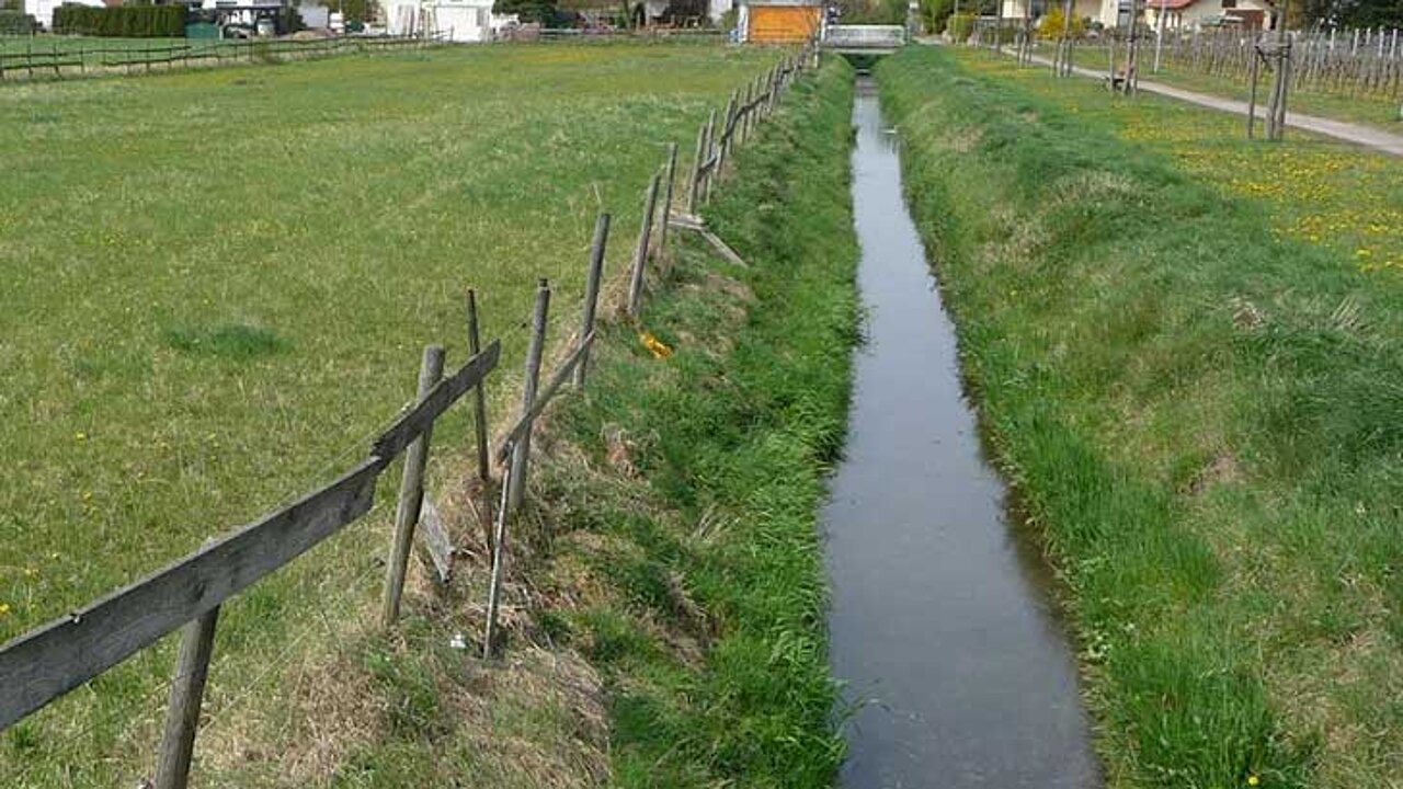 Fließgewässer (Foto: Immanuel Giel [CC BY 3.0])