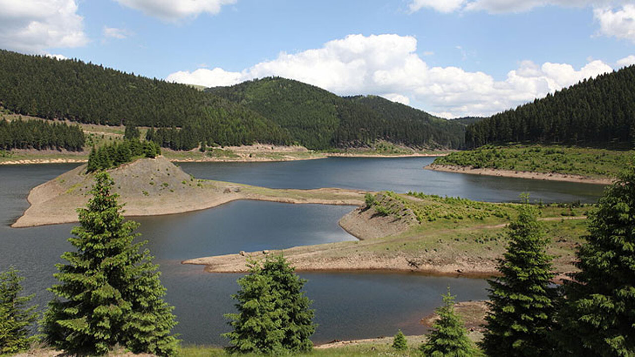Stausee mit der Vogelinsel
