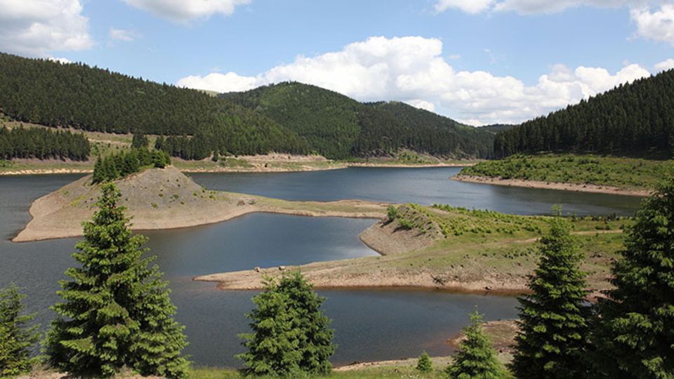 Stausee mit der Vogelinsel