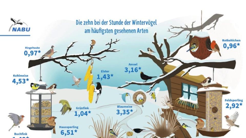 Vogelzählung