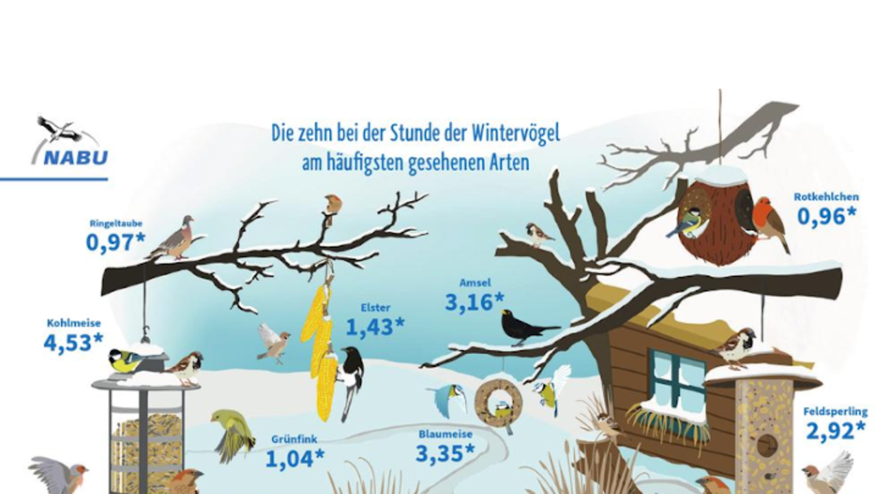 Vogelzählung