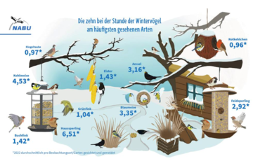 Vogelzählung