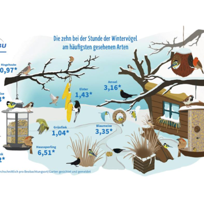 Vogelzählung