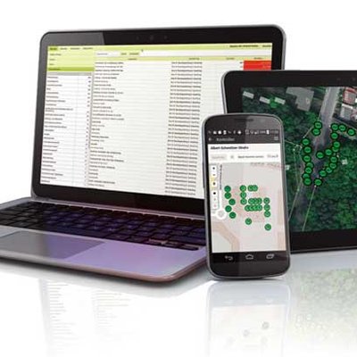 Digitalisierung im Baummanagement