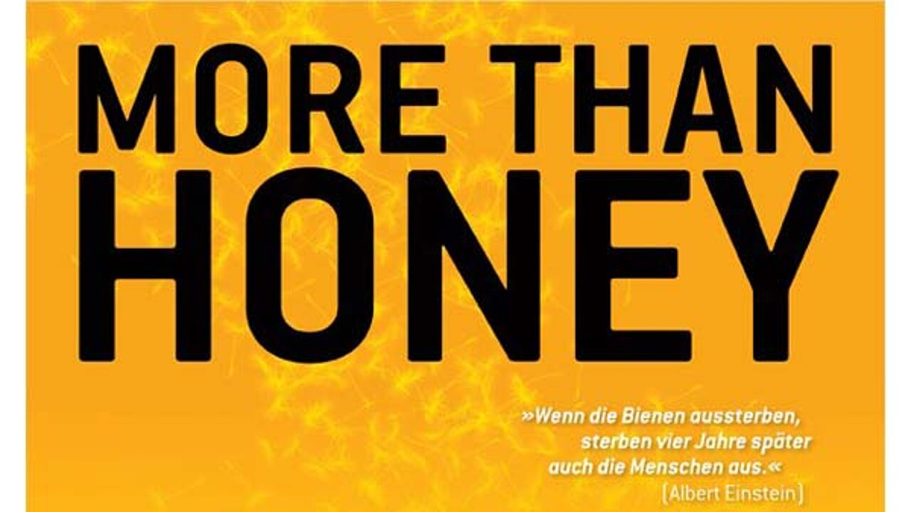 Filmplakat "More than Honey"