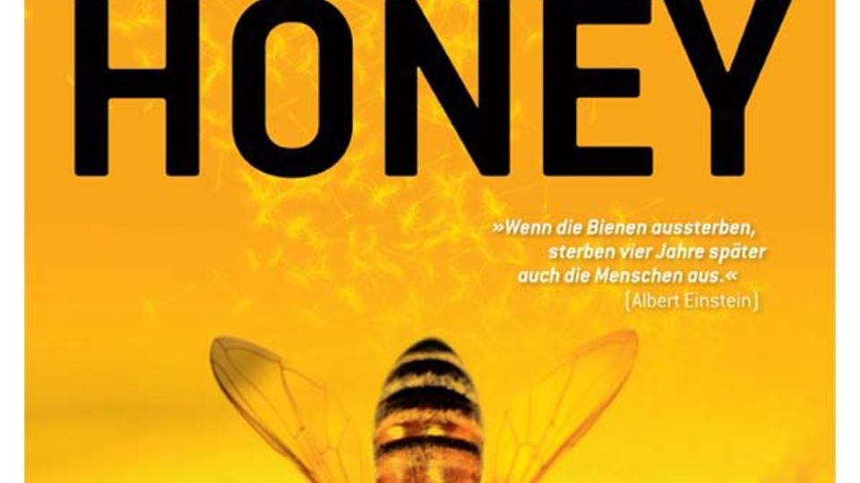 Filmplakat "More than Honey"
