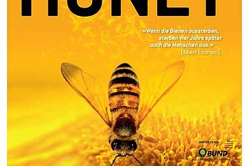 Filmplakat "More than Honey"