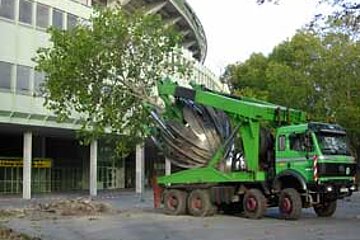 Großbaumverpflanzung
