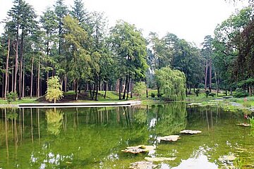 Waldidylle