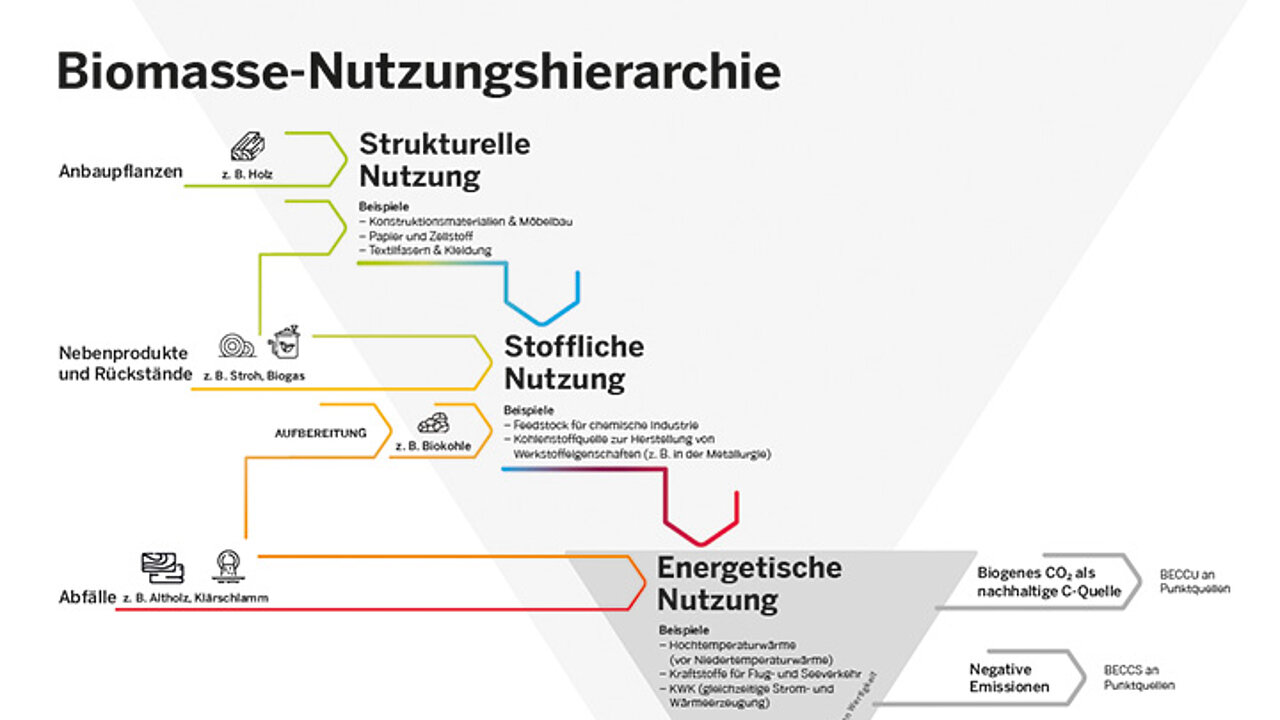NRW.Energy4Climate Biomasse nachhaltig einsetzen
