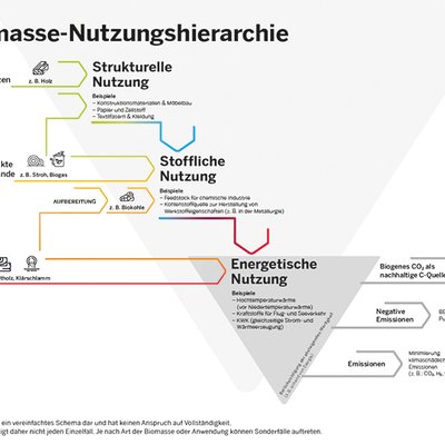 NRW.Energy4Climate Biomasse nachhaltig einsetzen