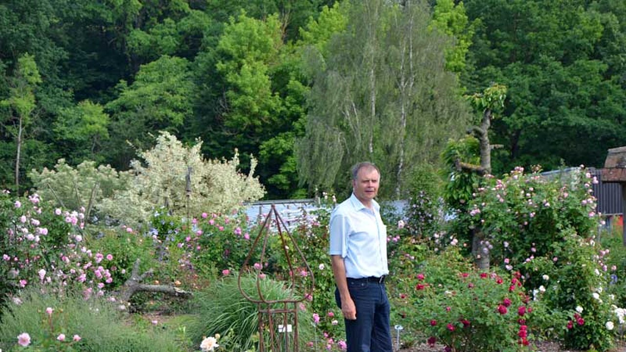 Steinfurther Rosenring