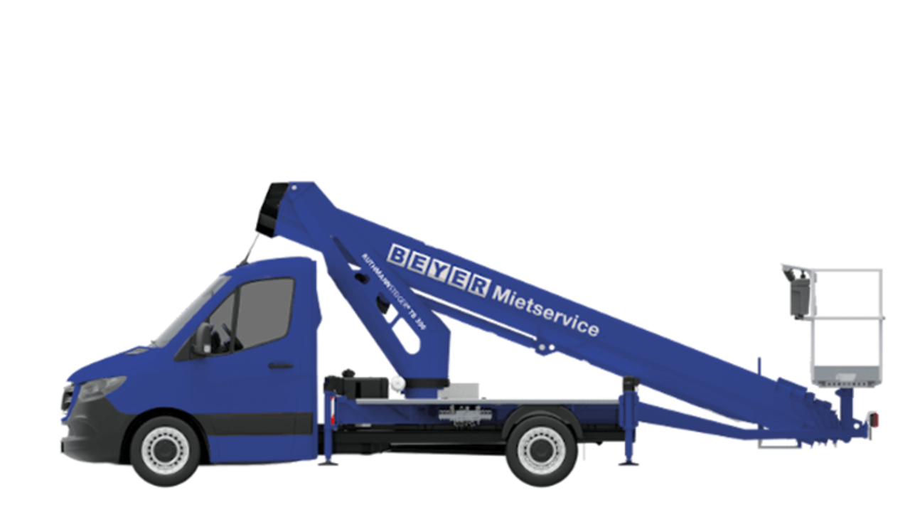 STEIGER TB 300