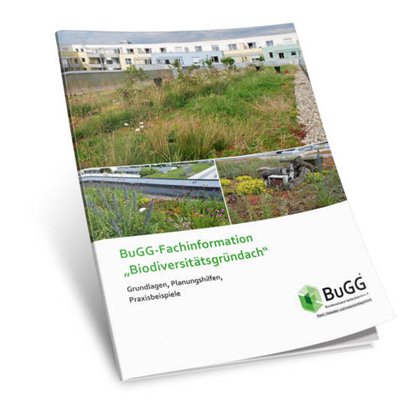 Biodiversitätsgründach