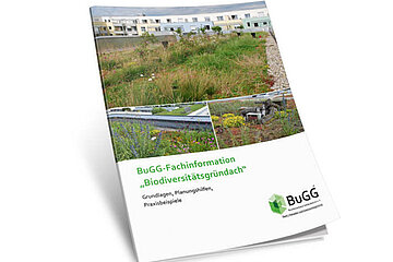 Biodiversitätsgründach