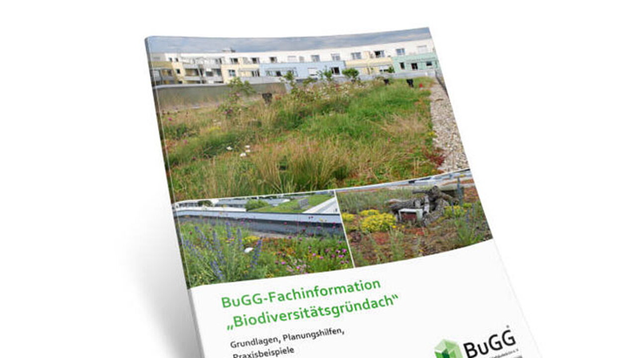 Biodiversitätsgründach